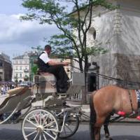 Horse carriage